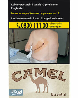 CAMEL ESSENTIAL BLUE 20