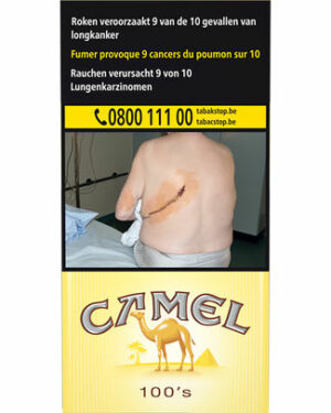 CAMELYELLOW100 S 20