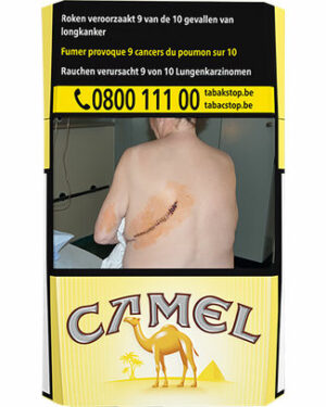 CAMEL YELLOW 20