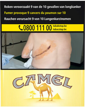 CAMEL YELLOW 25