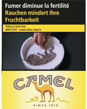 CAMEL YELLOW 40